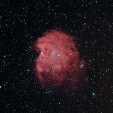 NGC2175, the Monkey Head Nebula